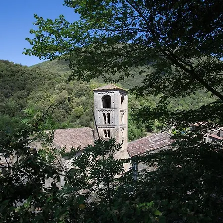 Criach 1 Beget